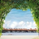Avani Sepang Golden Palm Tree Resort